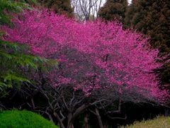 -白塘生态植物园