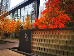 -小大董·烤鸭(凤凰汇店)