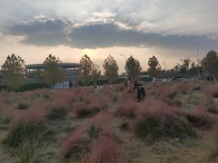 -映月湖中央公园