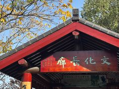 -汤山公园