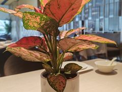 -一澜江宴·江景地标楚菜(江滩公园店)