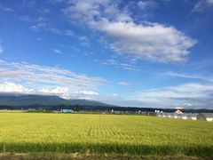 -富田农场