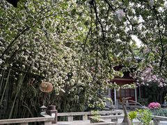 -大唐博相府酒店·陕西官府菜
