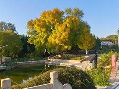 -石家庄市植物园