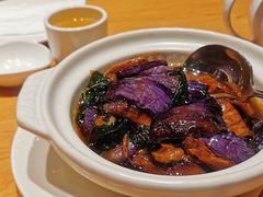 -圆山大饭店-圆苑餐厅