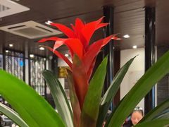 -松鹤楼(山塘街店)