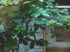 -巴巴新生活·四合院会议·疗愈团建.品牌活动