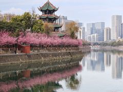 -望江楼公园