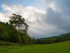 -武陵山森林公园