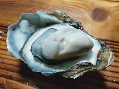 -大富蚝乌东哥饭店·石锅鱼杂·柠檬鸭(革新路店)