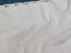 -九龙湾温泉汗蒸时代