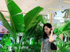-润园四季椰子鸡火锅(南山海岸城店)