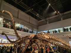 -自贡恐龙博物馆