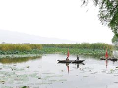 -洪湖生态旅游区