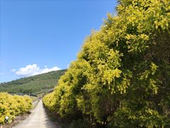 -福清灵石山国家森林公园