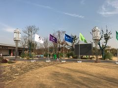 -上海长兴岛郊野公园