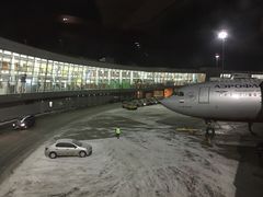 -谢列梅捷沃国际机场