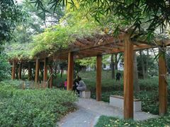 -徐家汇源景区-衡山公园