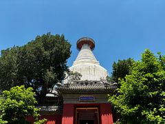-妙应寺白塔