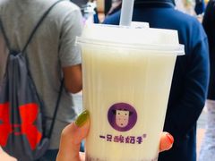 -一只酸奶牛(八一路店)