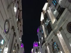 -上海和平饭店华懋阁 Cathay Room