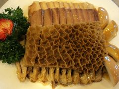 -碧中海汤泉汗蒸酒店