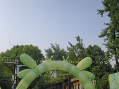-合肥野生动物园