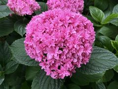 -常州古运河南大街文化旅游区-人民公园