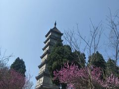 -天台山赤城山景区