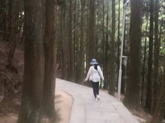 -井冈山风景名胜区
