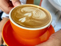 -OLD TREE老树咖啡·西餐厅(台山人工湖店)