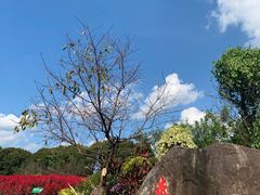 -广州市流溪河国家森林公园
