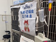 -派美特宠物医院·核磁CT·骨科肿瘤·疑难转诊(沈农禾丰店)