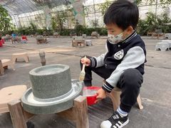 -前小桔亲子创意农场·草莓采摘·露营烧烤