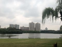 -黄兴公园