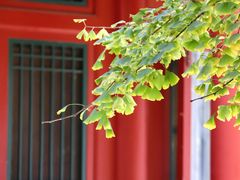 -北京石刻艺术博物馆(五塔寺)