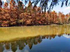 -上海海湾国家森林公园