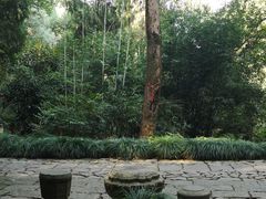 -梦姑塘文化公园