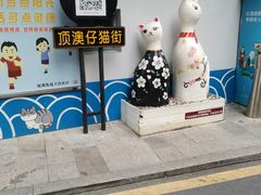 -猫咪博物馆(顶澳仔猫街店)