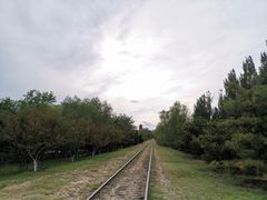 -永定河休闲森林公园