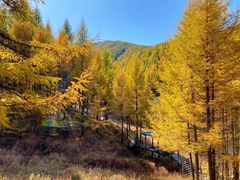 -苏木山森林公园
