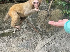 -黔灵山公园
