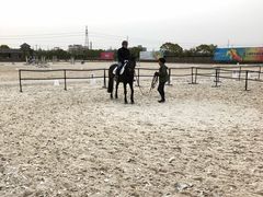 -松声马术俱乐部