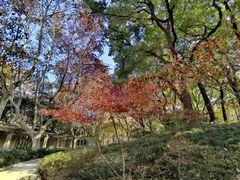 -徐家汇源景区-衡山公园