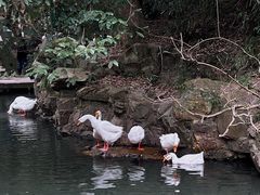 -兰亭风景区