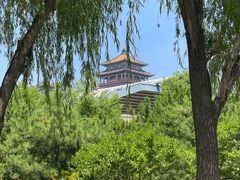 -莲花池公园