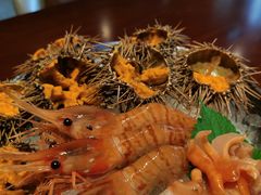 海胆刺身-一本魅·日式料理