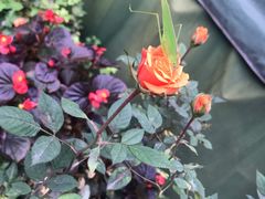 -卯火锅(人和协信店)