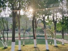 -鹤之洲湿地公园