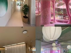 -观心实验室·心理咨询(上海旗舰店)